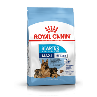 Royal Canin Maxi Starter 4Kg