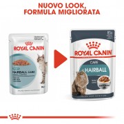 Royal Canin Gatto Hairball Care Gravy 85g