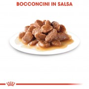 Royal Canin Gatto Ageing 12+ Gravy 85g