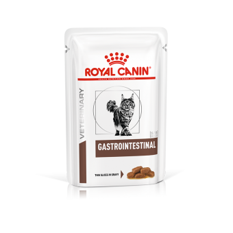 Royal Canin Gatto Veterinary Diet Gastrointestinal 85g