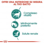 Royal Canin Gatto Instinctive 7+ Gravy 85g
