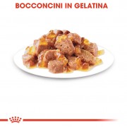 Royal Canin Gatto Sterilised Jelly 85g