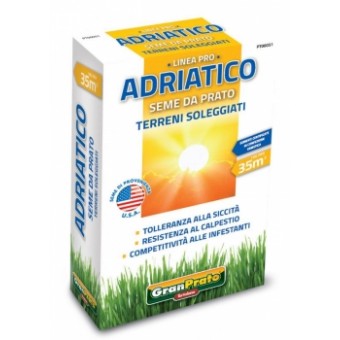 Seme da Prato Adriatico 1Kg