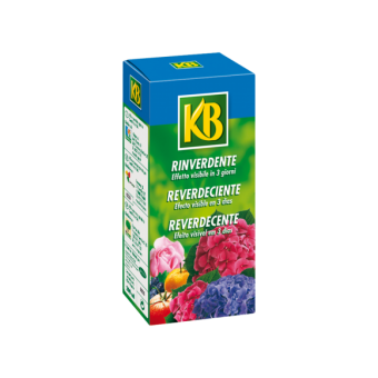 KB Rinverdente 200ml