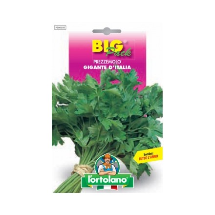 Busta Big Pack Prezzemolo Gigante d'Italia