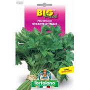 Busta Big Pack Prezzemolo Gigante d'Italia