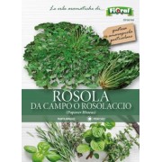 Busta Fioral Rosola da Campo o Rosolaccio 2g