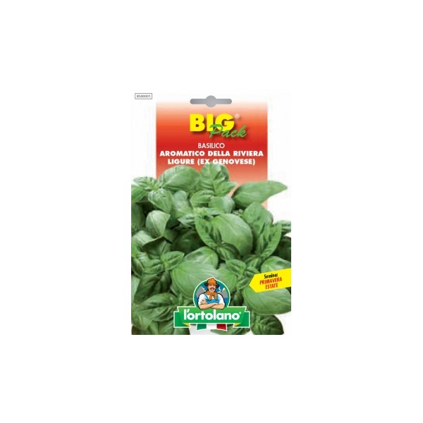 Busta Big Pack Basilico Aromatico della Riviera Ligure (ex Genovese) 20g
