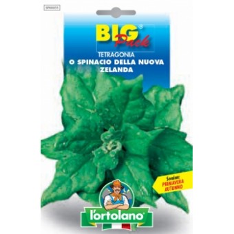 Busta Big Pack Tetragonia o Spinacio della Nuova Zelanda 12g