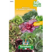 Busta Misticanza di Cicorie a Grumulo 50g