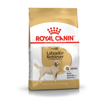 Royal Canin Adult Labrador Retriever 12Kg