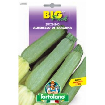 Busta Big Pack Zucchino Alberello di Sarzana