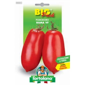 Busta Big Pack Pomodoro Roma VF