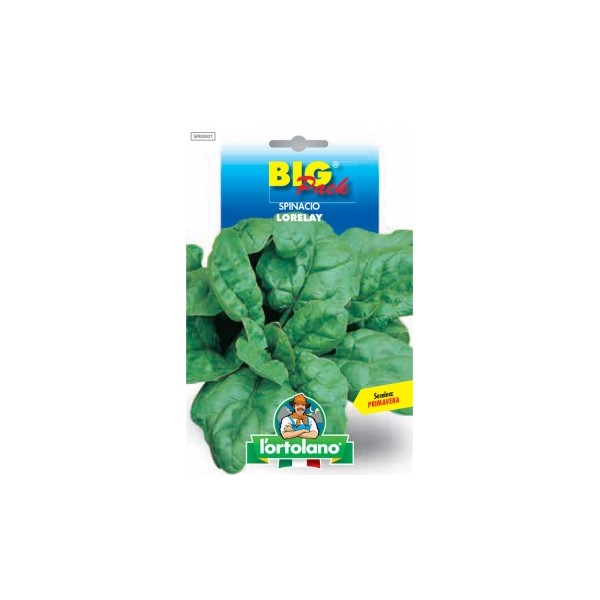 Busta Big Pack Spinacio Lorelay