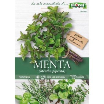 Busta Fioral Menta