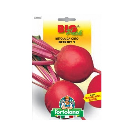 Busta Big Pack Bietola da orto Detroit 2