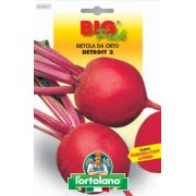 Busta Big Pack Bietola da orto Detroit 2