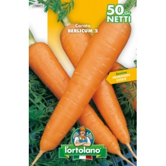 Busta Carota Berlicum 2 50g