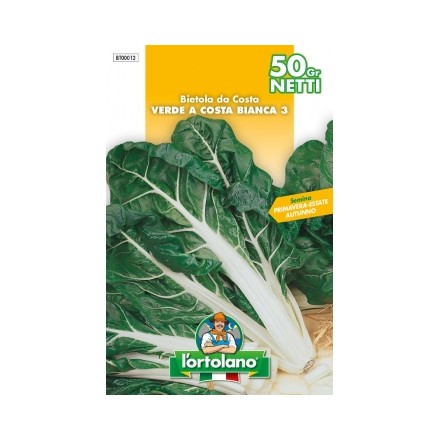Busta Bietola da coste verde a costa bianca 3
