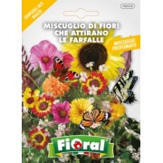 Busta Fioral Miscuglio di Fiori che attirano Farfalle