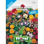 Busta Fioral Miscuglio di Fiori Profumati