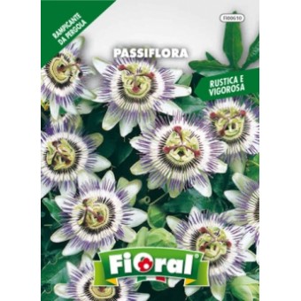 Busta Fioral Passiflora