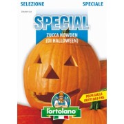 Busta Special Selezione Zucca Howden di Hallowen