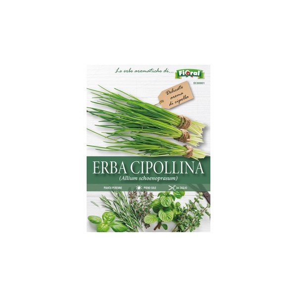 Busta Fioral Erba Cipollina