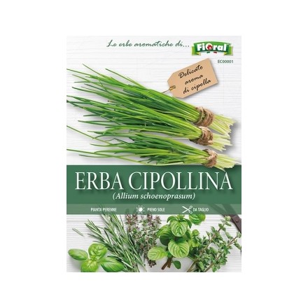 Busta Fioral Erba Cipollina