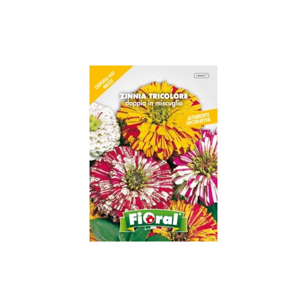 Busta Fioral Zinnia Tricolore doppia in miscuglio
