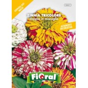 Busta Fioral Zinnia Tricolore doppia in miscuglio