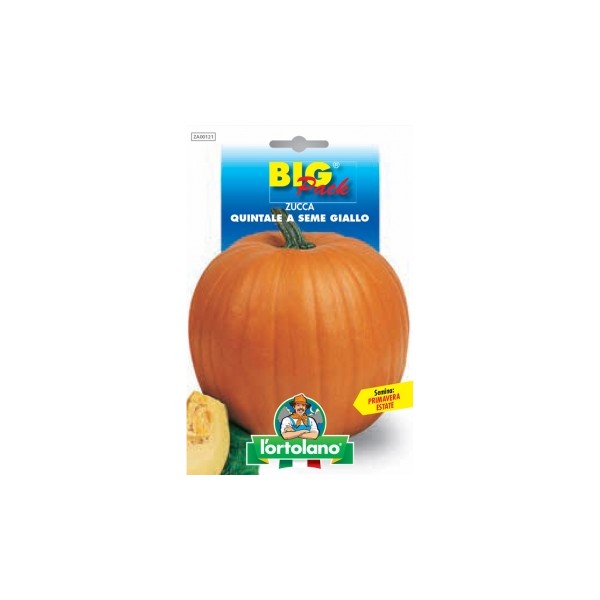 Busta BigPack Zucca Quintale a Seme Giallo