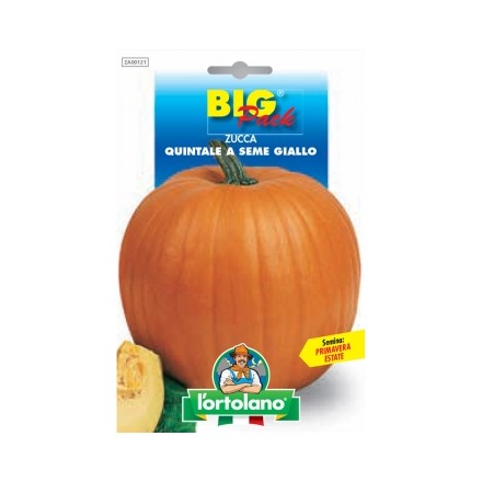 Busta BigPack Zucca Quintale a Seme Giallo