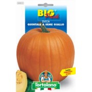 Busta BigPack Zucca Quintale a Seme Giallo