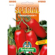 Busta Special Ibrido Pomodoro Eduardo F1