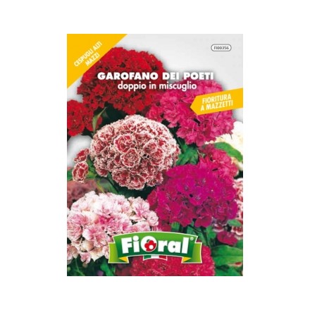 Busta Fioral Garofano dei Poeti doppio in miscuglio