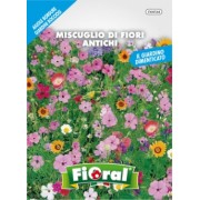 Busta Fioral Miscuglio di Fiori Antichi