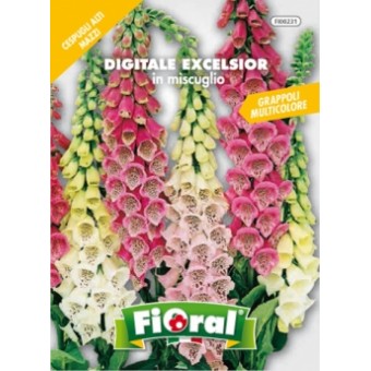 Busta Fioral Digitale Excelsior in miscuglio