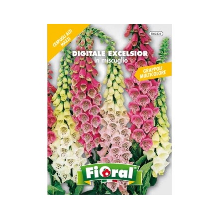 Busta Fioral Digitale Excelsior in miscuglio