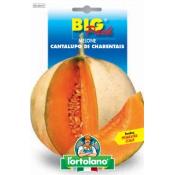 Busta Big Pack Melone Cantalupo di Charentais