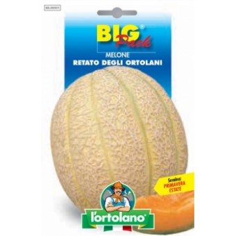 Busta Big Pack Melone Retato degli Ortolani
