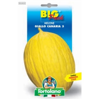Busta Big Pack Melone Giallo Canaria 3