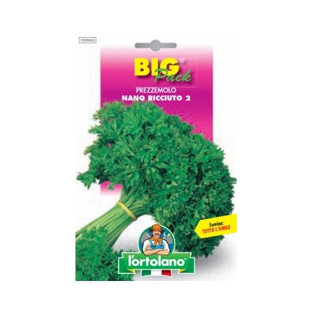 Busta Big Pack Prezzemolo Moss Curled 2 Riccio