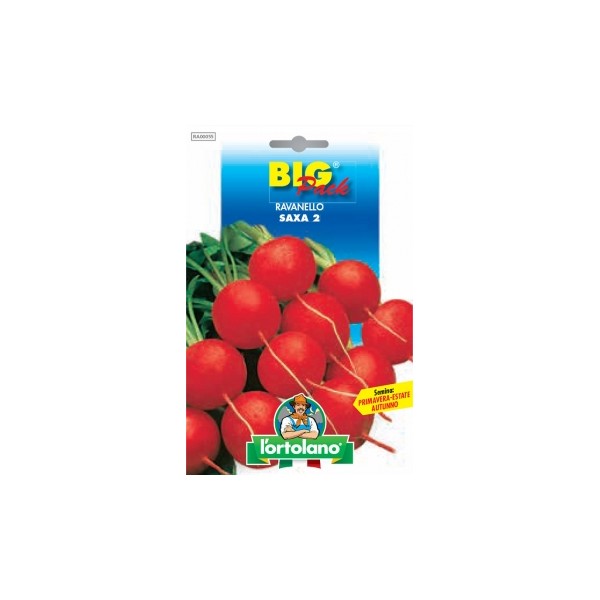 Busta Big Pack Ravanello Saxa 2