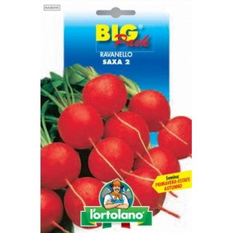 Busta Big Pack Ravanello Saxa 2