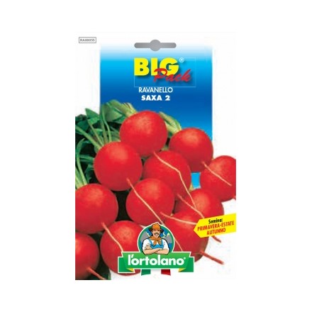Busta Big Pack Ravanello Saxa 2