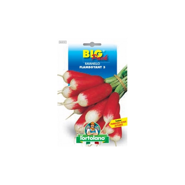 Busta Big Pack Ravanello Flamboyant 3