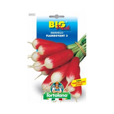 Busta Big Pack Ravanello Flamboyant 3