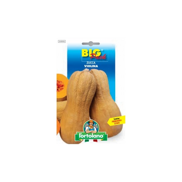 Busta Big Pack Zucca violina