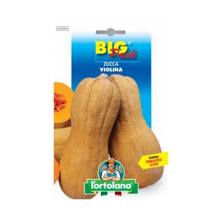 Busta Big Pack Zucca violina